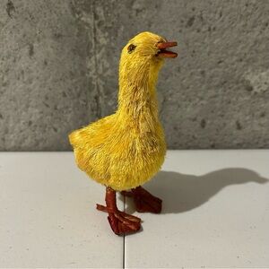 Pottery Barn Easter Ducks